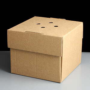Premium Cardboard Delivery Burger Box: Pack of 100
