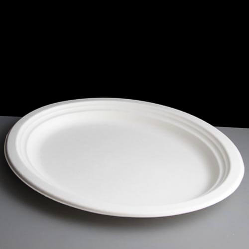 oblong paper plates