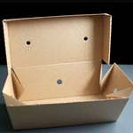 Premium Cardboard Double Delivery Burger Box: Pack of 100