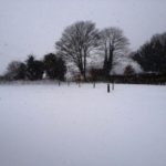 Photo of snow outside warehouse