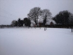 Snow at the Warehouse