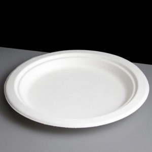 Large Bagasse Plate