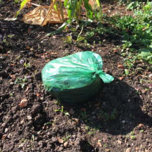 Garden leaf mulch