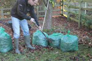 Punch Holes in the Green Sacks