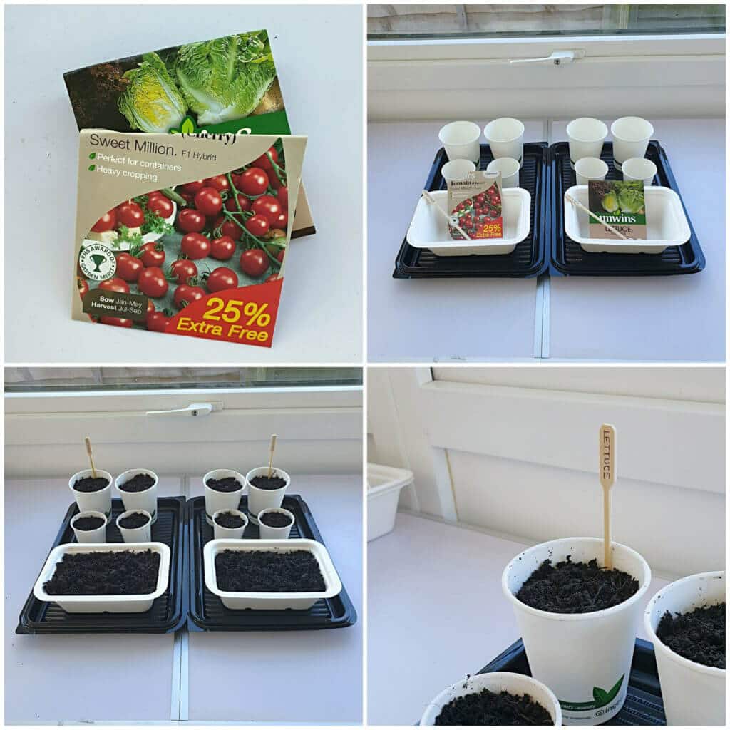 Home Grown Seeds in Compostable Food Packaging