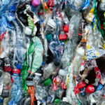 Squashed Bottles for Recyling