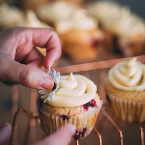 Can you Freeze Cupcakes