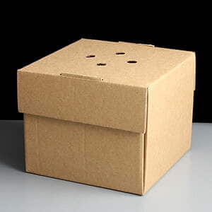 Brown Cardboard Burger Box