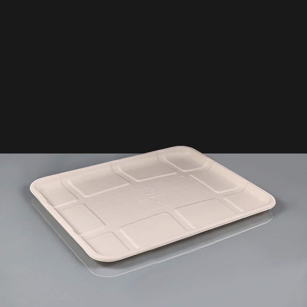 Shallow Compostable Bagasse Meet Tray