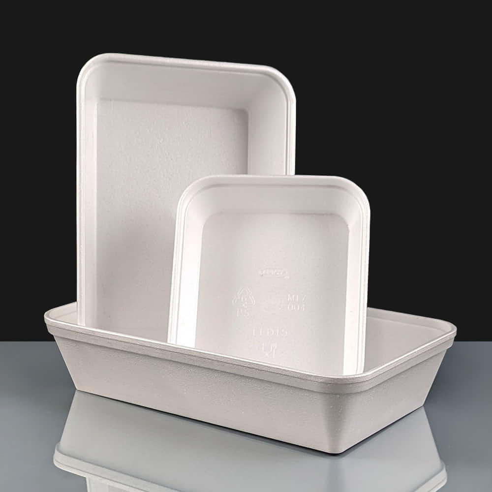 Ecofriendly alternatives to Polystyrene Foam Containers