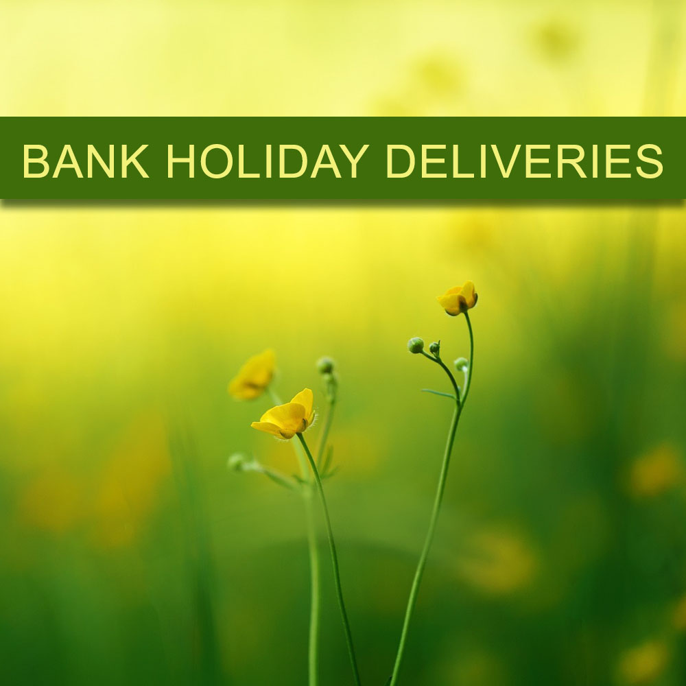 Spring Bank Holiday